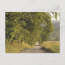 Search for dirt road postcards Usa