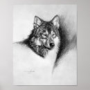 Search for wolf drawing art White