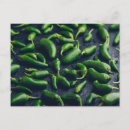 Recherche de jalapenos cartes postales Poivrons