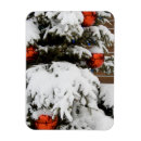 Search for jasper magnets Canada