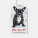 Search for french bulldog crafts party Pet