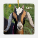 Search for goats ornaments Pet