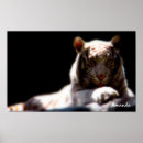 Search for white tiger art Wild