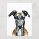 Search for whippet dog postcards Sighthound