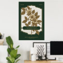 Recherche de signification fleurs posters Botanique
