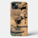 Search for calf cases African elephant