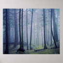 Search for washington state parks posters Forest