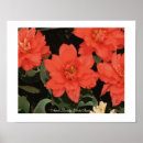 Recherche de april Jardin