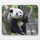 Search for panda mousepads Bear