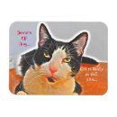 Recherche de mon chat magnets Réfrigérateur