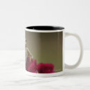 Search for japanese flowers mugs Nature