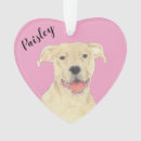 Search for staffy ornaments Pitbull
