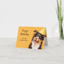 Search for life begins cards Funny