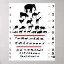 Search for eye chart posters Test