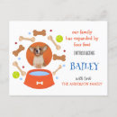Search for pet adoption invitations Animals