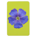 Search for flax Blue flax