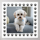 Recherche de animaux uniques posters Pour enfants
