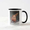 Search for jugs mugs Pottery