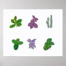 Search for basil art Sage