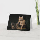 Search for orange tabby cat christmas cards Kitten