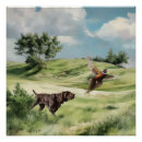 Search for german shorthaired posters Gsp