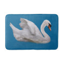 Recherche de cygne muet Gracieux