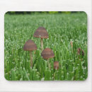 Search for grass the mousepads Rain