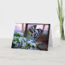 Search for butterfly iris cards Floral
