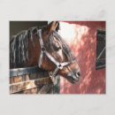 Recherche de stable cartes postales Cheval