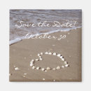 Search for florida shells magnets Waves