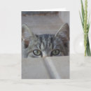 Search for cats meow birthday cards Trendy