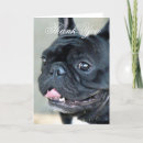 Recherche de french bulldog puppy cards Dogs
