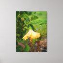 Search for dewdrops art Flower