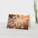 Search for daisy cards Bouquet