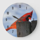 Search for cardinal clocks Nature