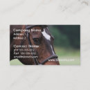 Recherche de arabes cartes visite Cheval