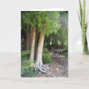 Search for forest path cards Tree