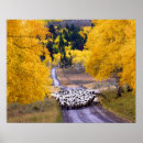 Recherche de route américaine posters Route de campagne