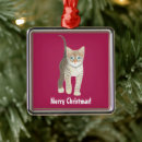 Search for tabby cat ornaments Cute kitten