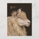 Recherche de bffs cartes postales Amitié