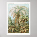 Search for exotic plants posters Vintage