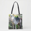 Search for stand alone Wolf