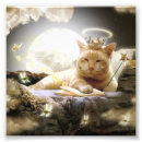 Recherche de photo copies de chat Chats