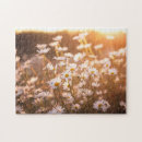 Search for daisy puzzles Meadow