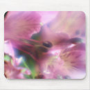 Search for stamens electronics Green