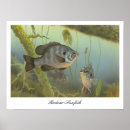 Recherche de poissons posters Sous l'eau