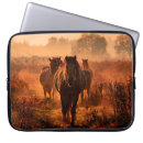Search for herd cases Wild