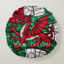 Recherche de dragon rouge coussins Mignon