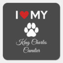Search for king of kings stickers Text