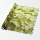 Recherche de bourgeonnement papier cadeau Jardin